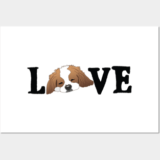 CKC Spaniel Puppy Love Posters and Art